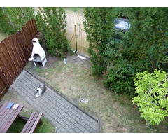 Domek letniskowy nad morzem - 8