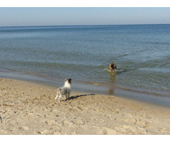 Domek letniskowy nad morzem - 11