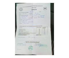 Specjalistyczne szkolenie psów - 8