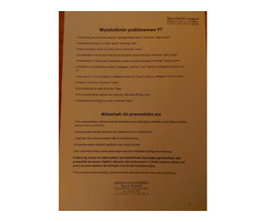 Specjalistyczne szkolenie psów - 9