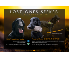 Szczaniak Flat Coated Retriever - 9